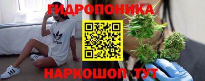 стафф Нальчик