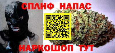 стафф Нальчик