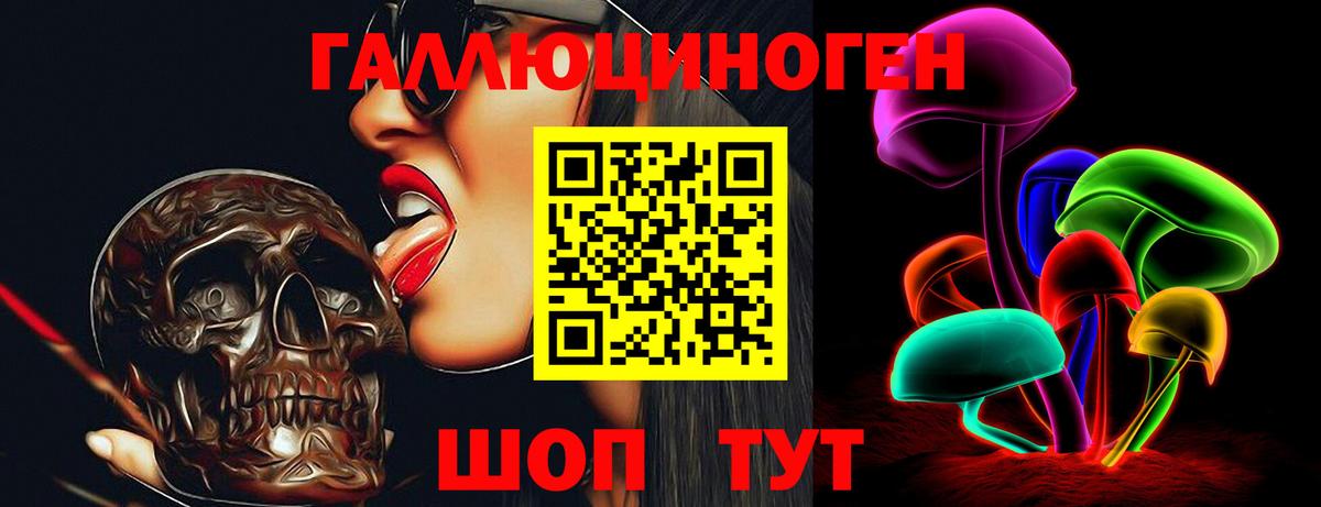 Псилоцибиновые грибы Cubensis Усть-Илимск