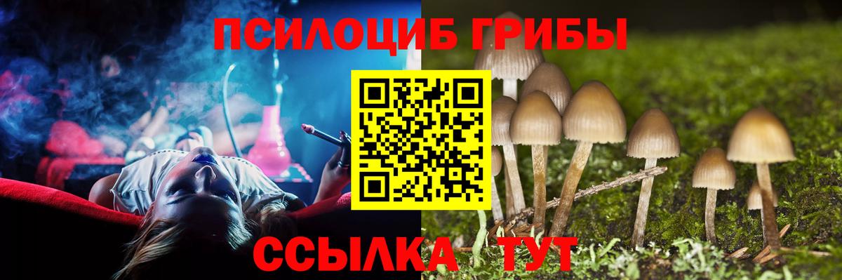Усть-Илимск  Псилоцибиновые грибы мухоморы  Вход с VPN 